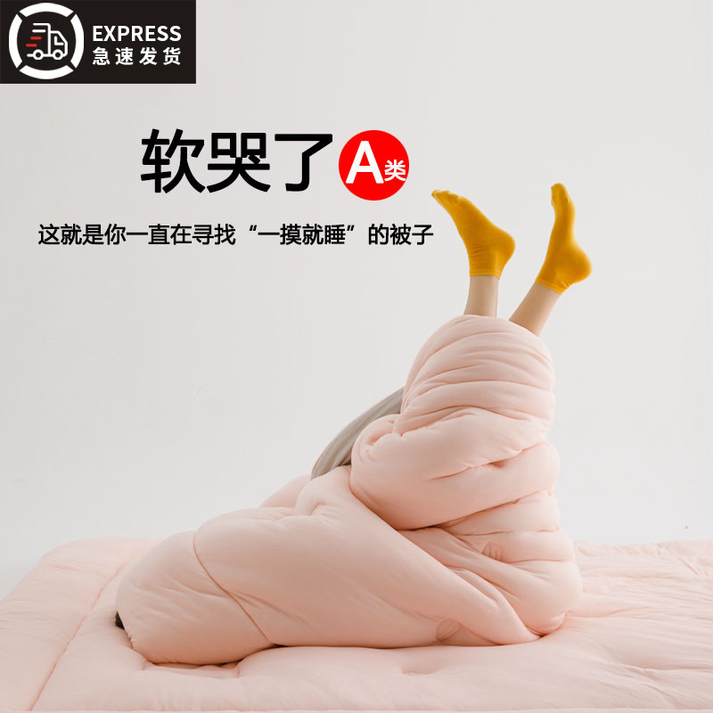 A类益生菌慕斯软被子冬被加厚保暖被芯单双人春秋被学生宿舍被褥,床上用品,化纤被,淘宝优惠券,粉丝福利购,淘宝优惠卷