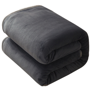 冬季加厚牛奶绒床单单件法兰绒珊瑚绒毛毯被单单人加绒冬天1.5米2