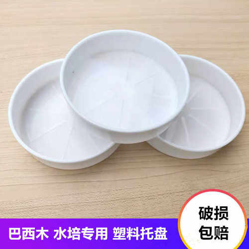 巴西木水培器皿花盆塑料底座托盘水养花桌面幸运木盆栽室内花盆垫