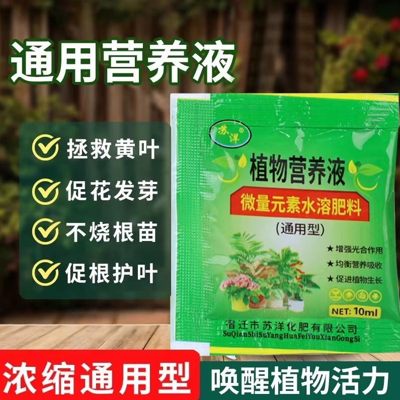 水培绿植通用营养液花卉