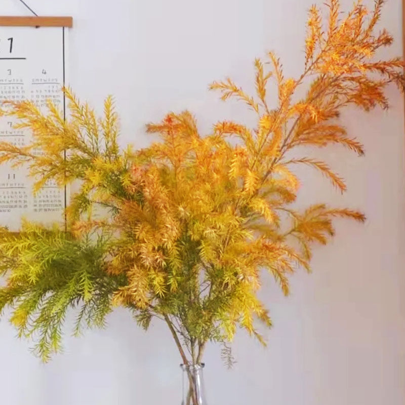 秋色千层金黄金香柳风韵独特木本花艺花瓶家庭插花花期长好养