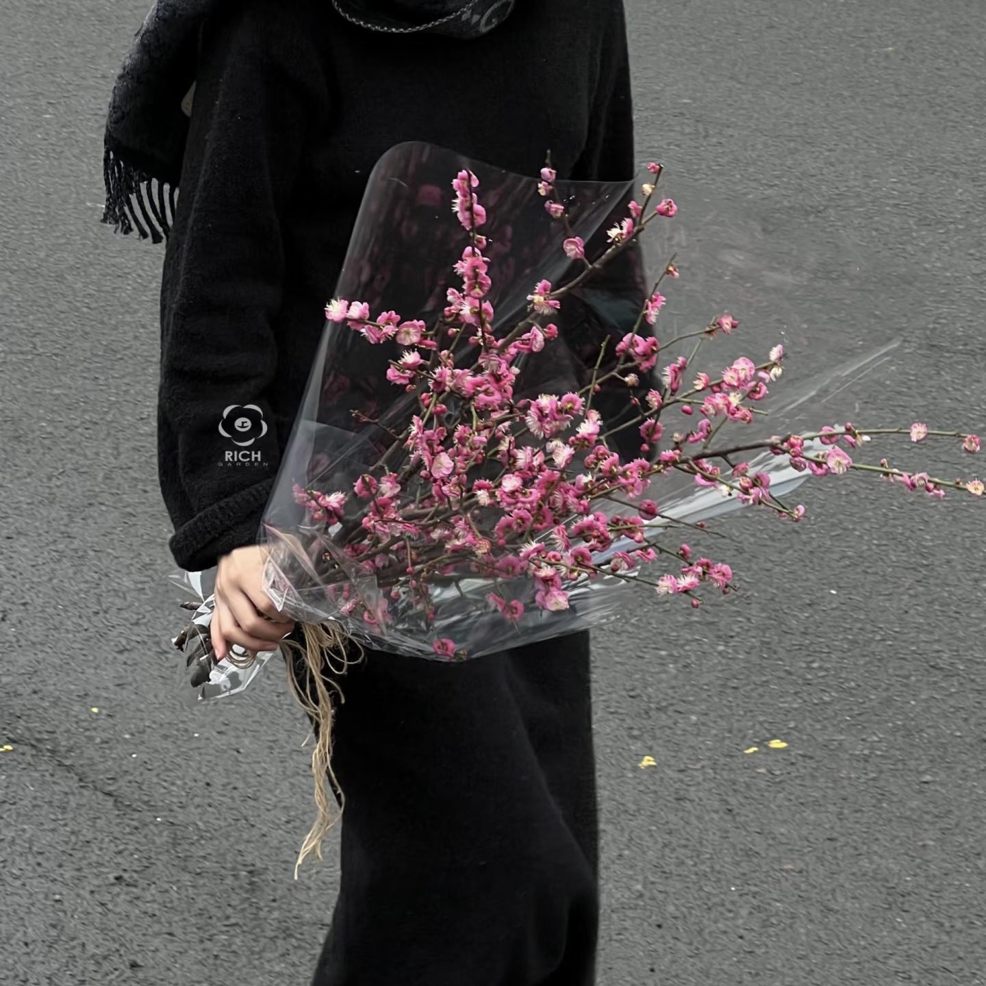 梅花香自苦寒来·梅花鲜切枝花瓶水养展厅姹寂风自然风插花顺丰,鲜花速递/花卉仿真/绿植园艺,花材,淘宝优惠券,粉丝福利购,淘宝优惠卷