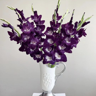 A级紫雨剑兰鲜花紫色剑兰节节高家居办公花瓶插花送长辈领导顺丰