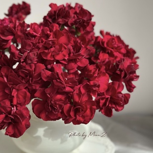 黑珍珠多头康乃馨给红色康乃馨鲜花花束客厅插花水养花材花瓶插花