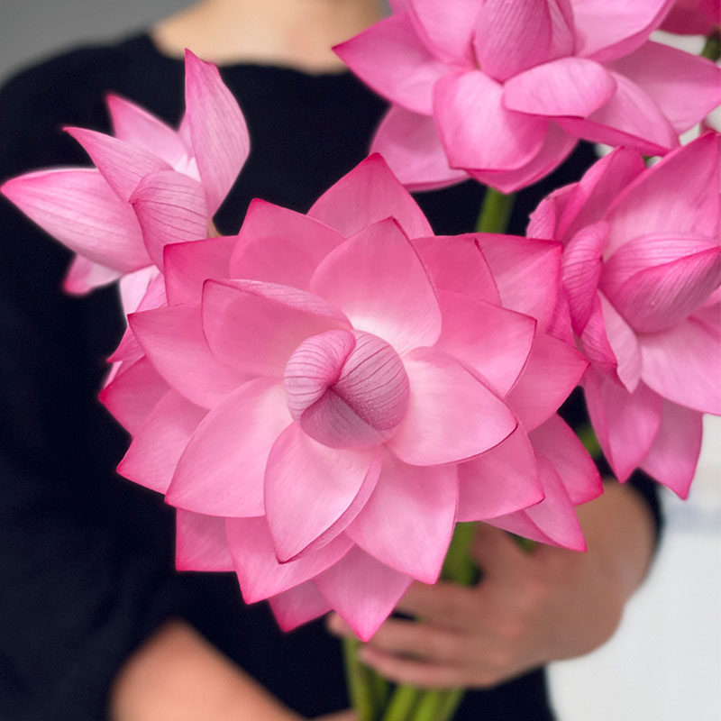 重瓣荷花莲花鲜花家庭水养花瓶插花酒店花艺插花花瓶水养真花