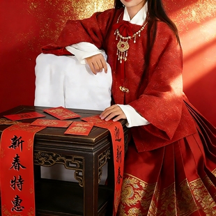 清仓汉服过年现货款毛绒毛呢金丝方领半袖披袄比甲暗兜口袋冬