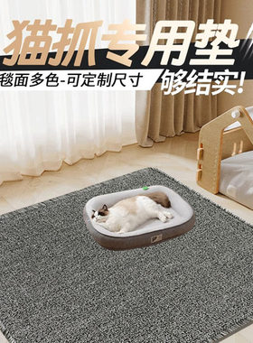 猫抓地毯家用现代简约耐磨地毯