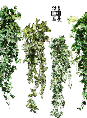 仿真爬山虎猪心叶葡萄壁挂藤蔓