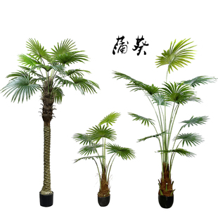 仿真蒲葵扇叶葵棕榈叶落地假绿植物室内阳台橱窗庭院造景装饰摆设