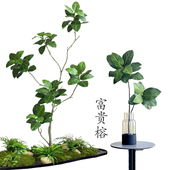 仿真绿植富贵榕孟加拉榕室内客厅落地盆栽装 饰摆件高级感仿生植物