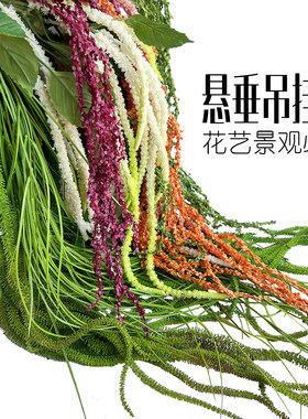 仿真柔丽丝尾穗苋吊米情人泪垂挂吊假花艺悬空仿真绿植墙设计装饰