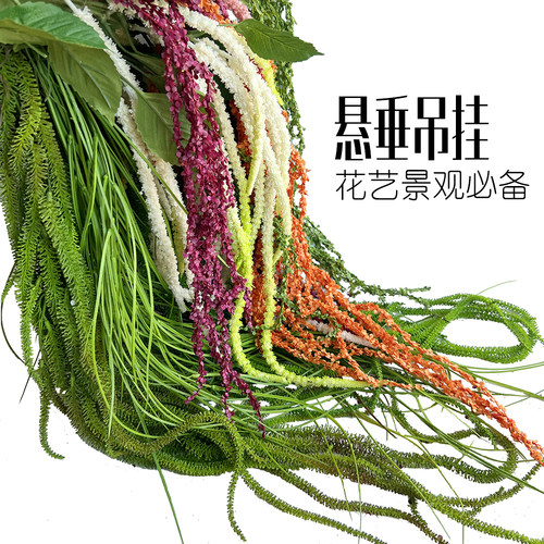 仿真柔丽丝尾穗苋吊米情人泪垂挂吊假花艺悬空仿真绿植墙设计装饰