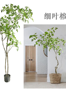 特丽卉仿真细叶榕树叶盆栽