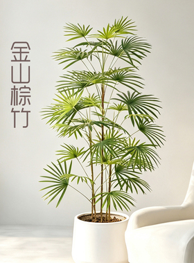 仿真金山棕竹盆景室内中式禅意装饰绿植盆栽家用客厅办公室摆件