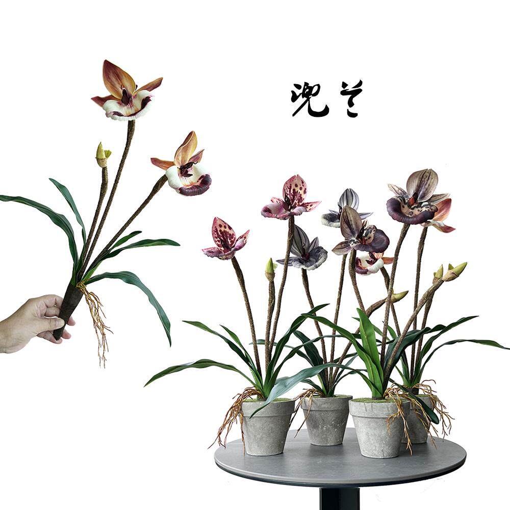 仿真兜兰拖鞋兰仙履兰高品质新中式插花素材客厅家居软装假花艺