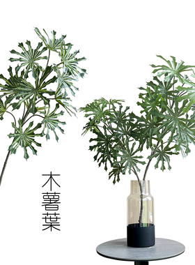 仿真木薯叶孔雀木叶子绿植物摆件室内现代轻奢风客厅玄关桌面装饰
