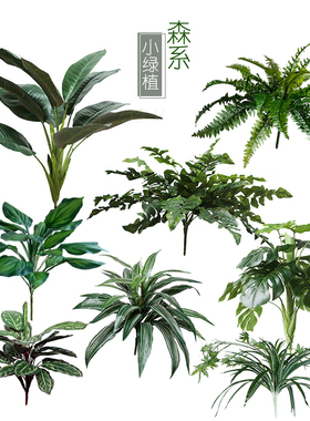 仿真蕨草叶琴叶榕万年青橡皮树吊兰龟背阳台工程绿化假植物装饰