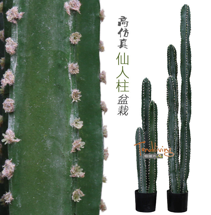 仿真仙人柱掌量天尺肉质热带沙漠室内落地百搭植物盆栽景装饰包邮