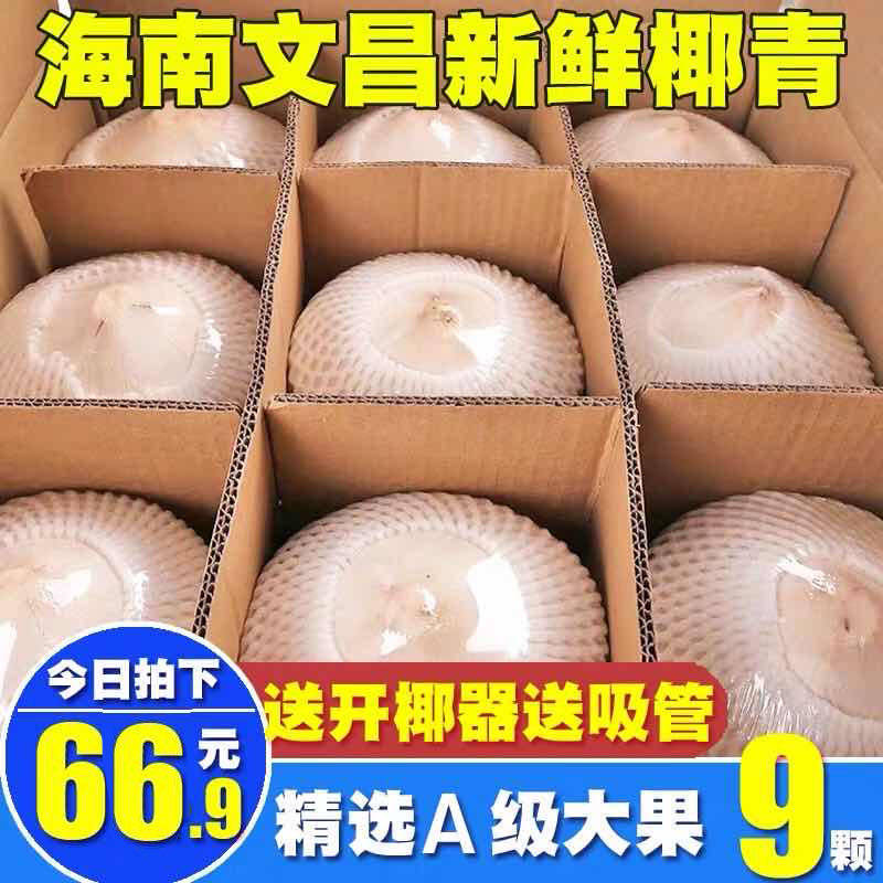 海南椰子椰青孕妇当季新鲜水果现发去皮原味清甜椰汁9个整箱包邮