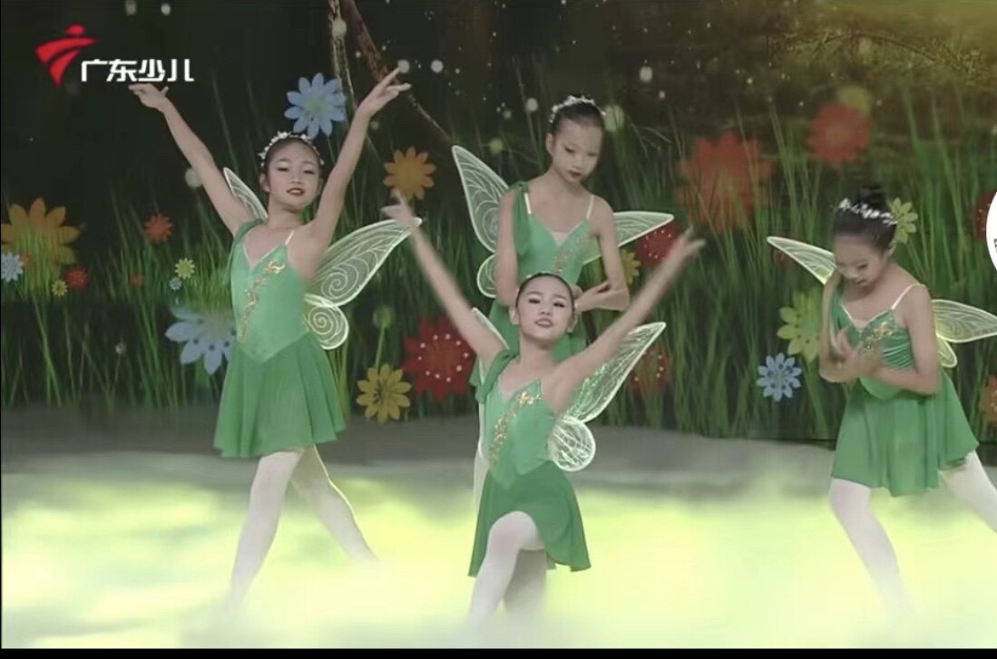 森之精灵舞蹈儿童演出服舞台装图片