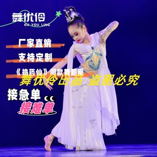 《捣药仙》群舞 古典舞同款舞蹈服专业定制舞蹈演出表演服W