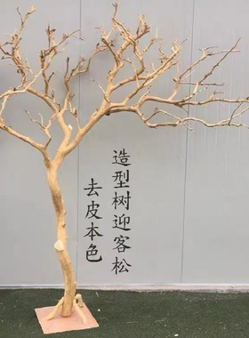 干树枝造景干枝树干许愿树枯树室内庭院造型树枝干原木树枝装饰树