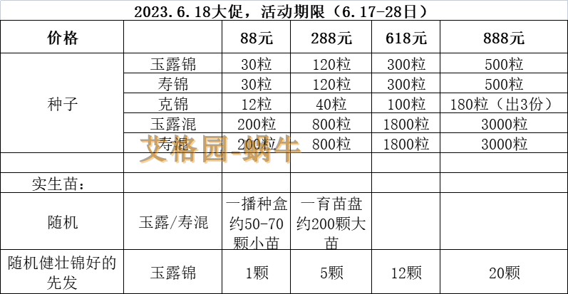蜗牛的乐园多肉花卉瓦苇12卷玉露寿种子618大促