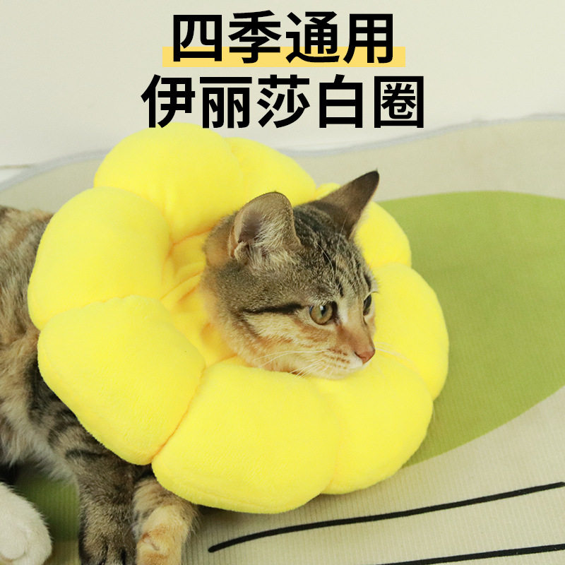 伊丽莎白项圈狗狗防舔软头套羞耻脖圈宠物用品四季伊丽莎白圈,宠物/宠物食品及用品,宠物伊丽莎白圈,淘宝优惠券,粉丝福利购,淘宝优惠卷