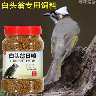 白头翁鸟食嗜虫鸟食红尾北鸲白头翁长尾四喜黑白歌鸲鸟食专用饲料