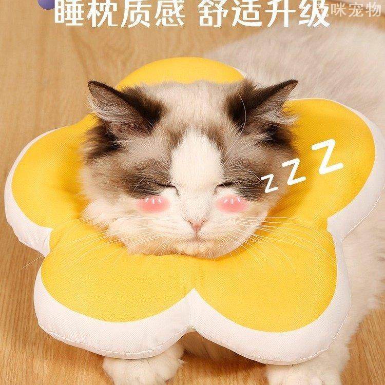 可爱伊丽莎白圈防水头套宠物术后防舔脖圈猫咪保护项圈实用设计,宠物/宠物食品及用品,宠物伊丽莎白圈,淘宝优惠券,粉丝福利购,淘宝优惠卷