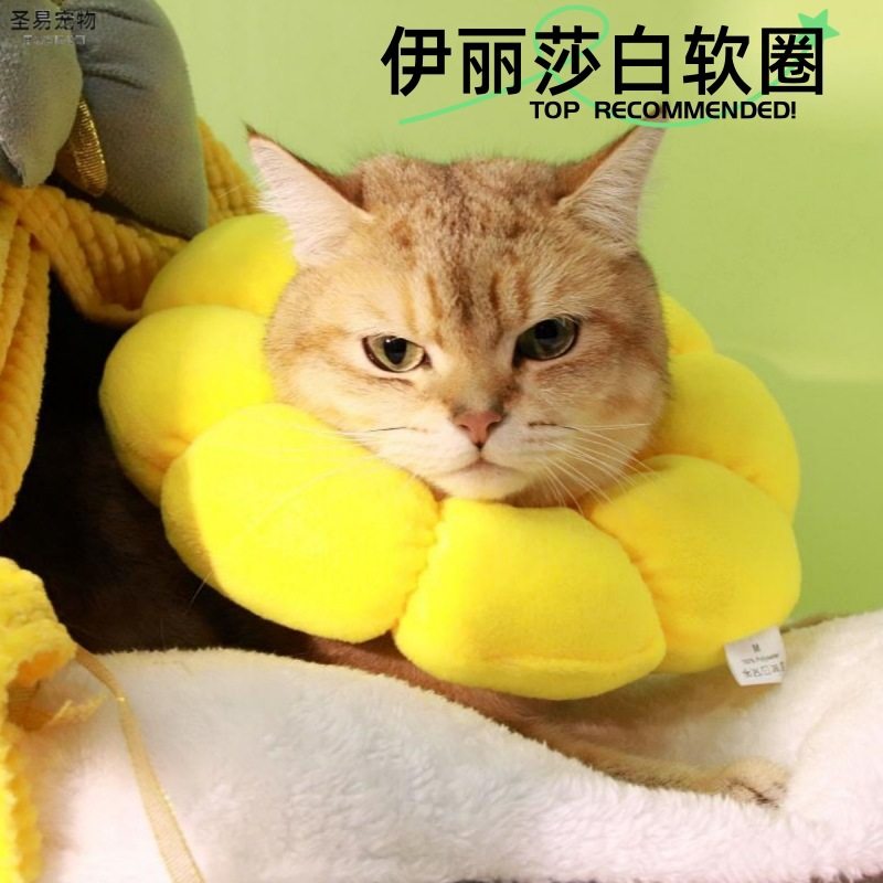 伊丽莎白项圈防抓挠防咬猫咪绝育猫项圈宠物用品可调节伊丽莎白圈,宠物/宠物食品及用品,宠物伊丽莎白圈,淘宝优惠券,粉丝福利购,淘宝优惠卷
