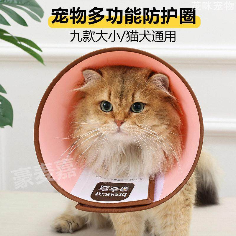 豪麦嘉伊丽莎白圈宠物猫狗防咬头套小型犬项圈防护套实用设计,宠物/宠物食品及用品,宠物伊丽莎白圈,淘宝优惠券,粉丝福利购,淘宝优惠卷