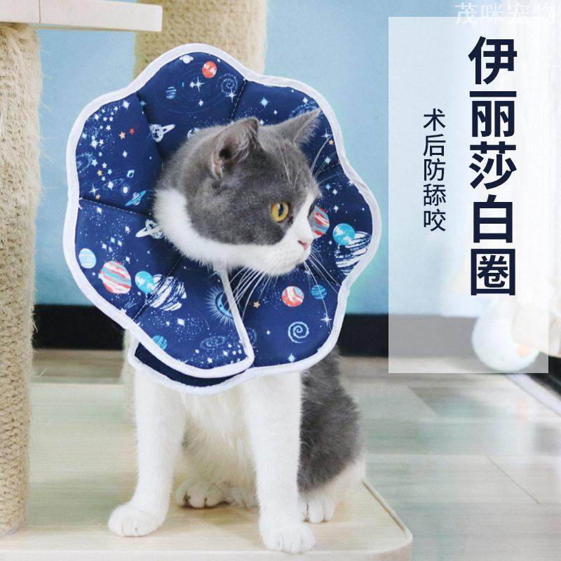 伊丽莎白圈狗狗猫咪防舔防水头套绝育术后护理用品莉沙白项圈,宠物/宠物食品及用品,宠物伊丽莎白圈,淘宝优惠券,粉丝福利购,淘宝优惠卷