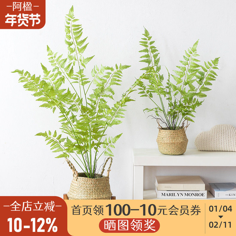 阿楹 高端仿真蕨类植物盆栽氛围造景 桌面假绿植仿生树装饰摆件大,家居饰品,仿真植物盆景,淘宝优惠券,粉丝福利购,淘宝优惠卷