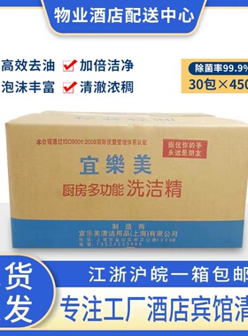 包邮袋装洗洁精多功能离子去油酒店家用瓜果蔬菜450g30包
