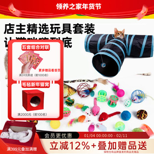领养之家 店主精选宠物猫玩具套装 21件猫咪通道逗猫棒毛绒老鼠