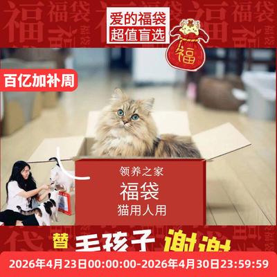 领养之家福袋猫用人用