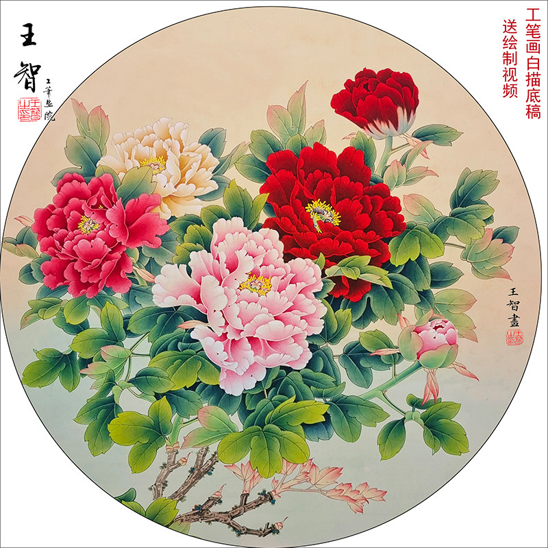 工笔画底稿白描画稿国画白描底稿临摹手勾可直接上色大幅斗方牡丹