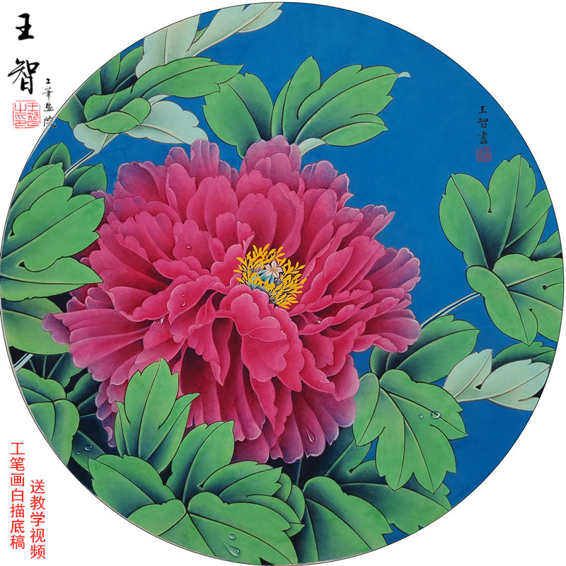 工笔画手勾熟宣线描可直接上色底稿国画初学者素材牡丹魏紫课程