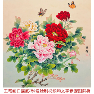 工笔画底稿白描画稿国画白描底稿临摹手勾可直接上色大幅斗方牡丹