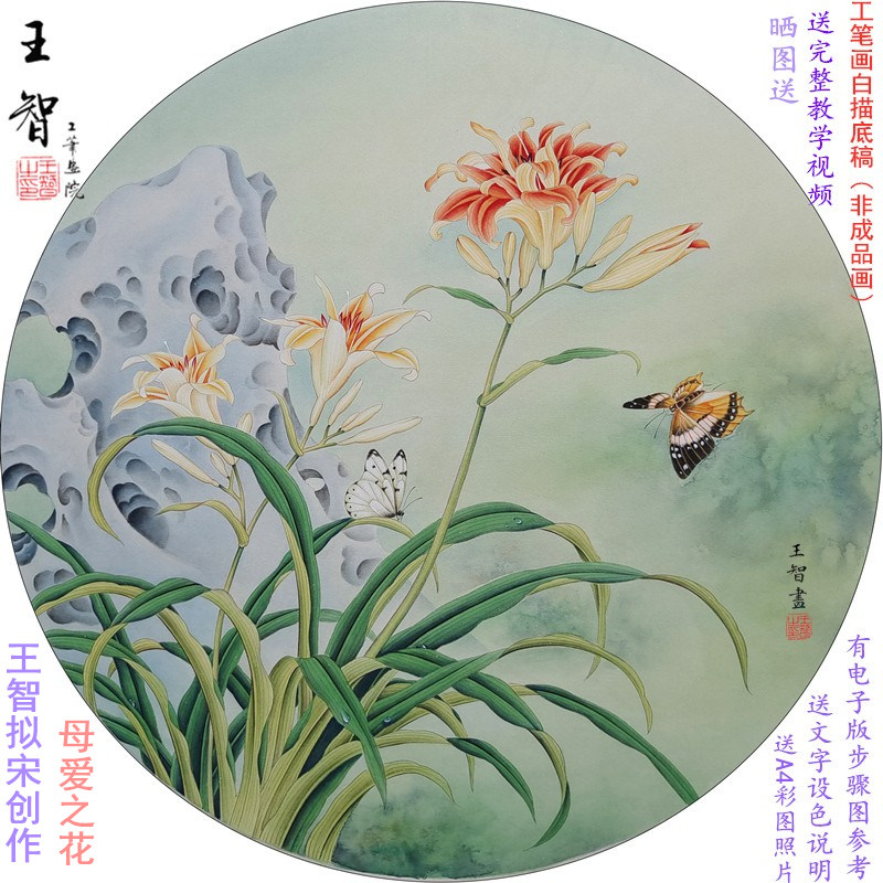 工笔画白描底稿线稿手绘线描可直接上色实物打印稿国画初学者视频