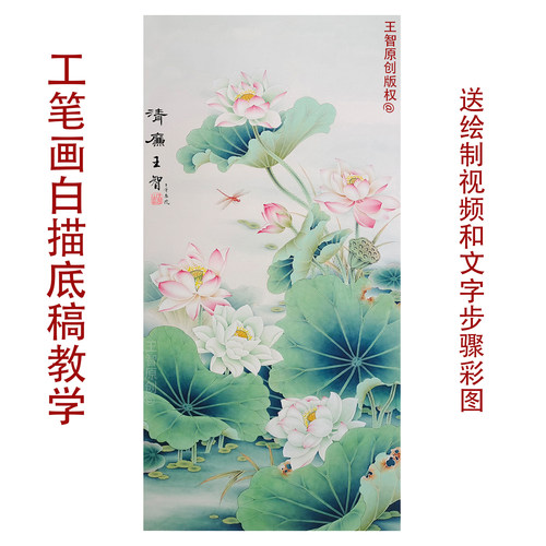工笔画白描底稿线稿带教学和视频