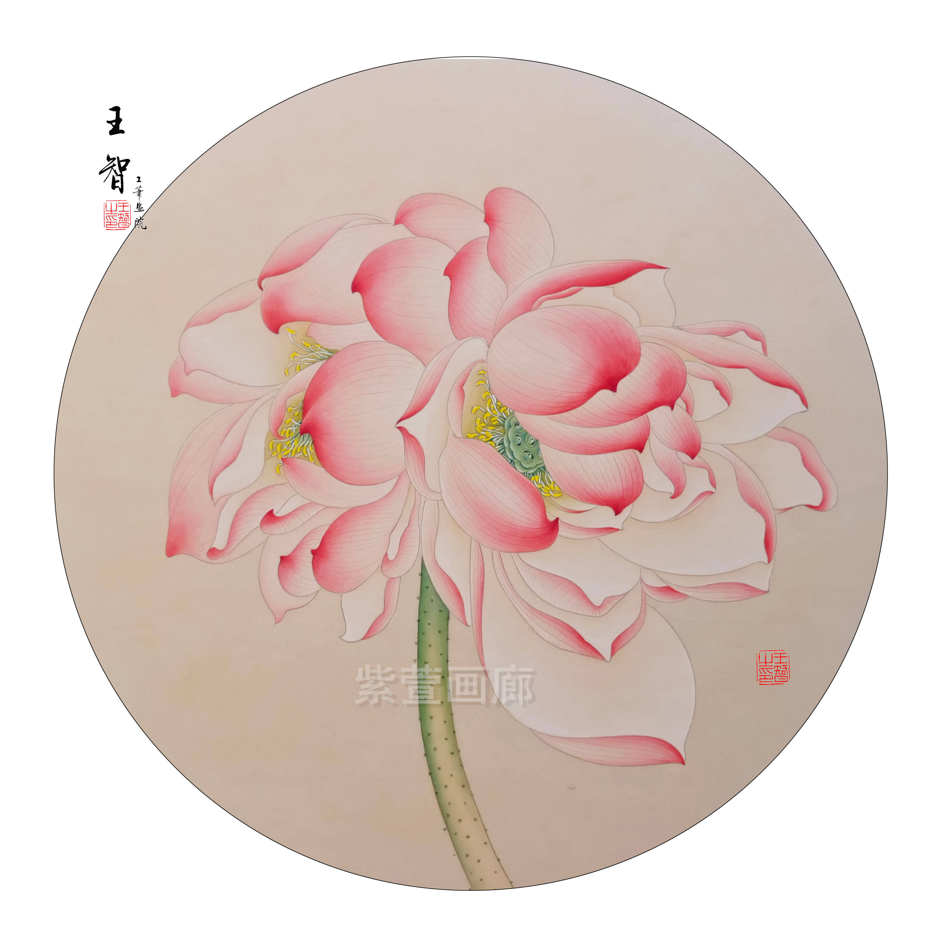 工笔画白描底稿线稿手勾可直接上色国画线描初学并蹄莲送教学视频