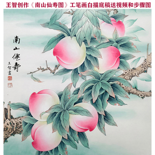 工笔画底稿白描画稿寿桃国画白描底稿临摹手勾可直接上色国画桃子