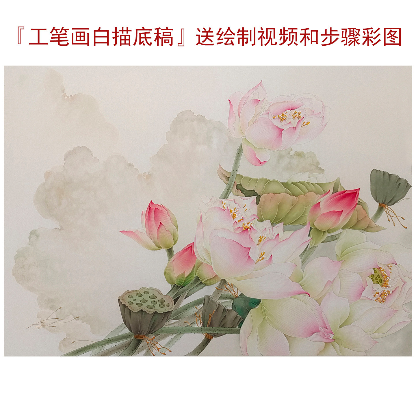 工笔画底稿白描画稿荷花白描底稿临摹手勾可直接上色工笔白描底稿,家居饰品,国画,淘宝优惠券,粉丝福利购,淘宝优惠卷