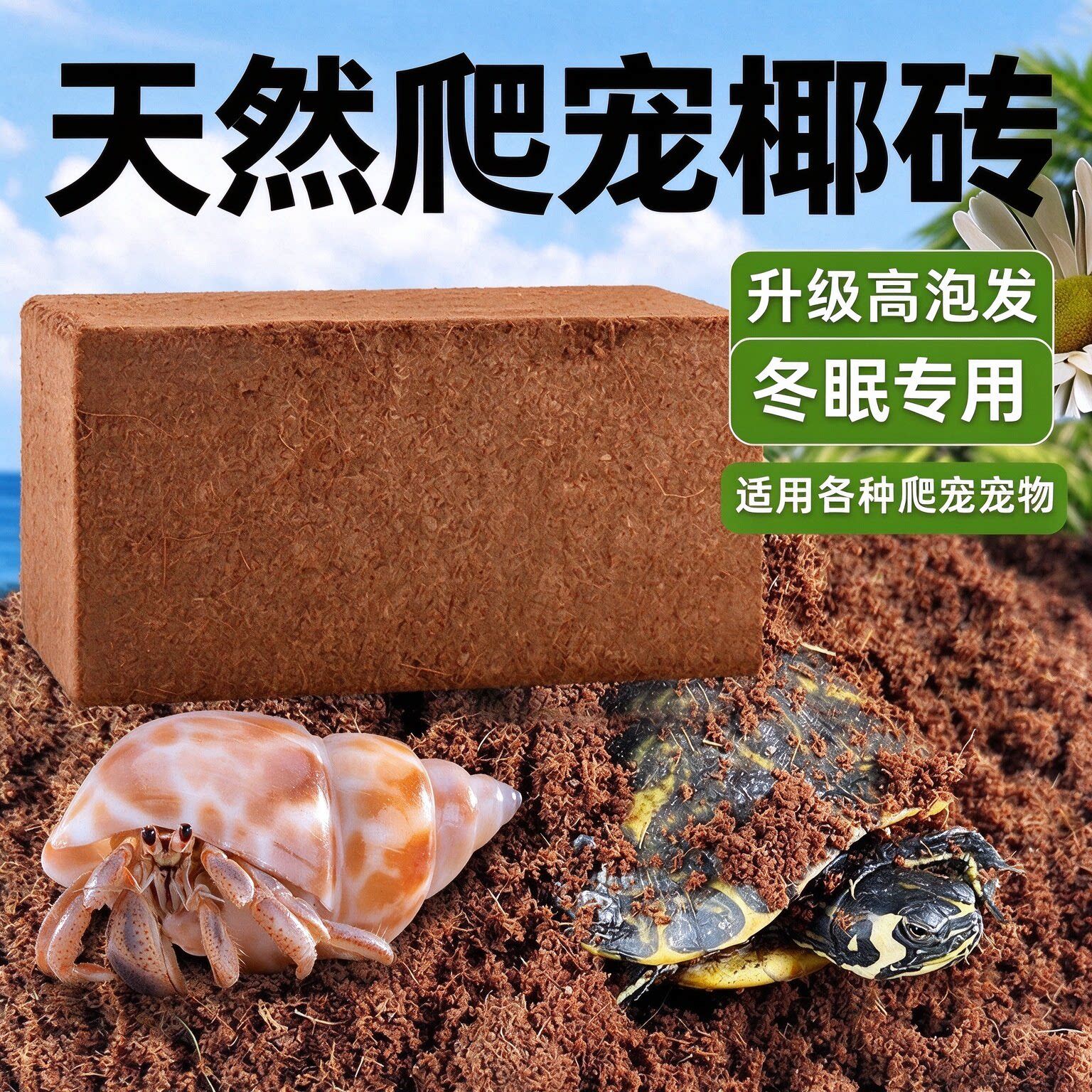 龟类冬眠高泡发脱盐进口椰糠