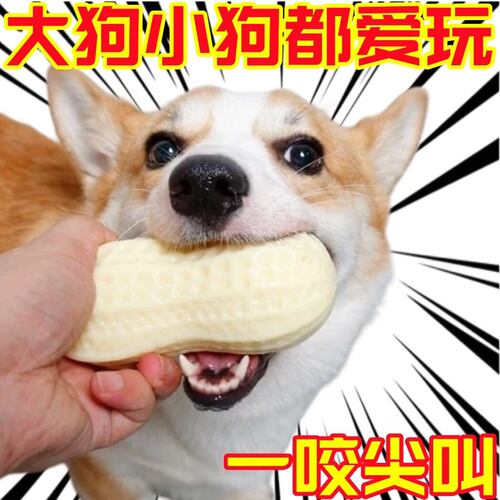 狗狗耐咬花生发声球磨牙玩具