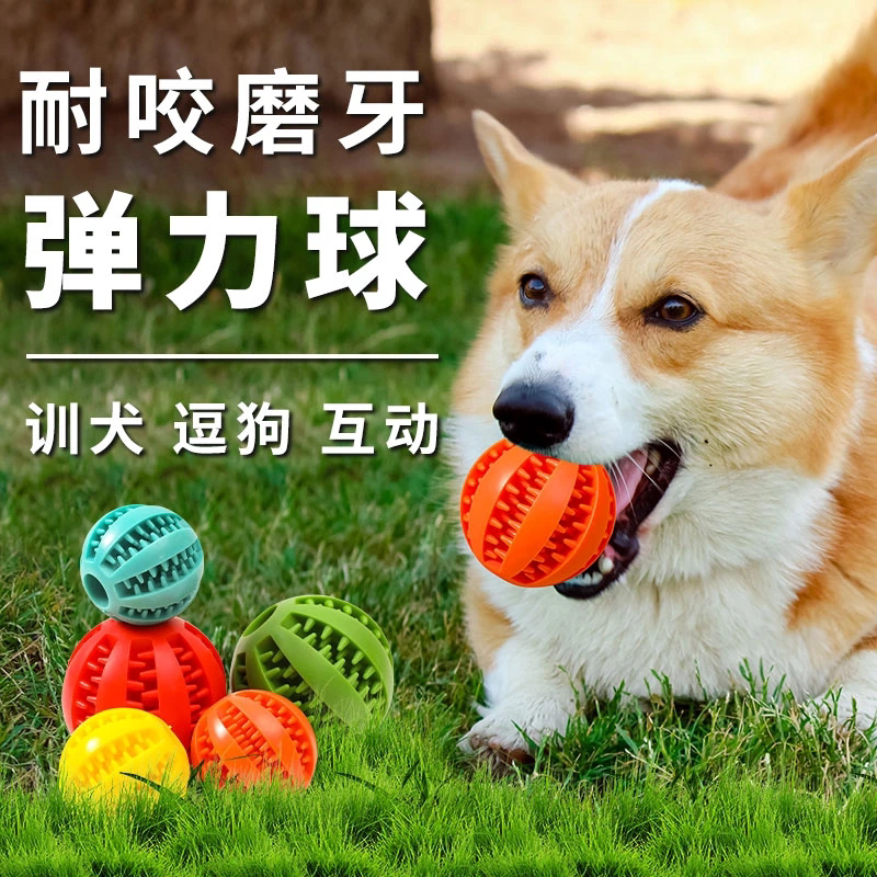 宠物狗狗玩具球耐咬球大中小型犬漏食玩具解闷磨牙弹力漏食球训狗