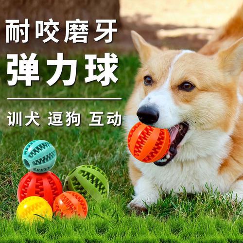 宠物狗狗玩具球耐咬球大中小型犬漏食玩具解闷磨牙弹力漏食球训狗