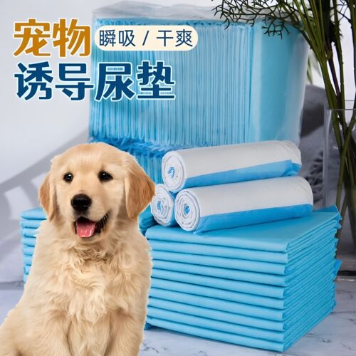 狗狗尿垫尿片宠物用品厕所加厚除臭吸水垫尿不湿加厚一次性尿布